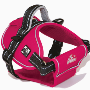Extreme Ultra-Padded Harness Pink Xl